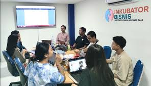 Inkubator Bisnis BNSP