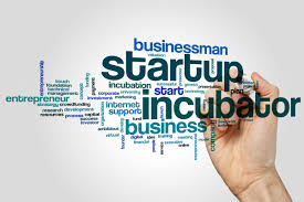 Inkubator Bisnis BNSP untuk Startup dan UMKM